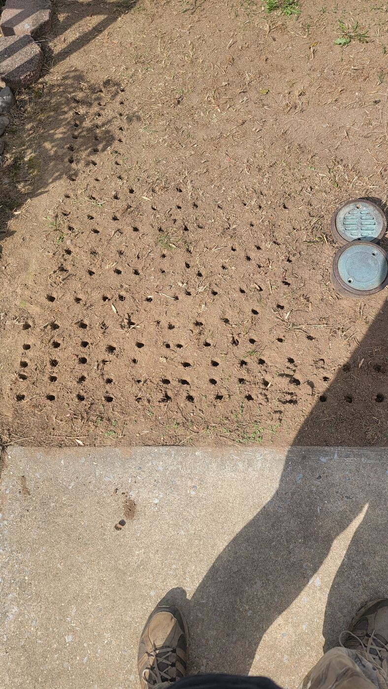 Seeding process